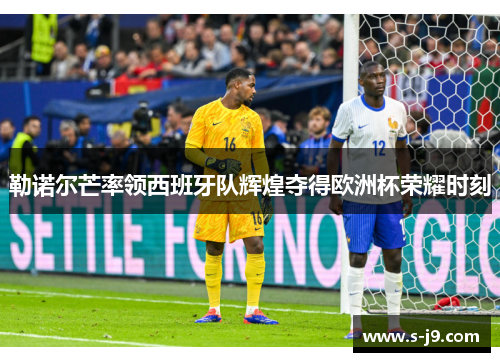 勒诺尔芒率领西班牙队辉煌夺得欧洲杯荣耀时刻